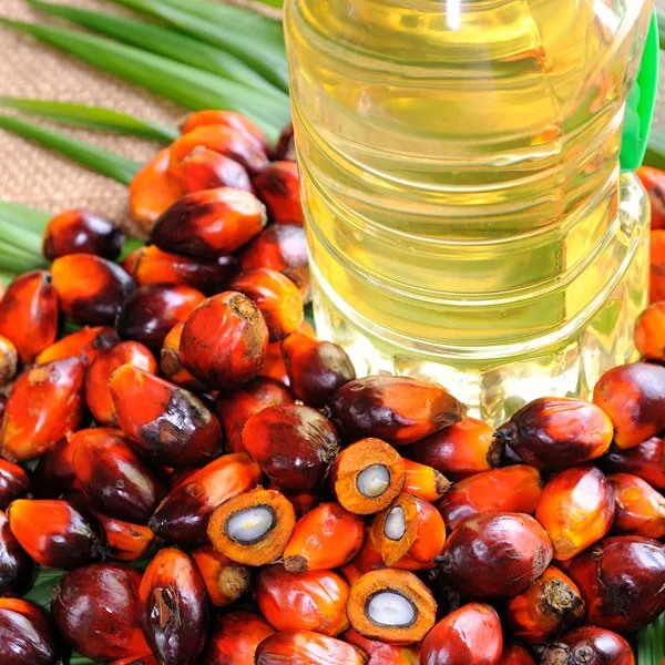 High Quality Refined & Crude Red Palm Oil /Palm Nuts oil/ Refined Palm Vegetable Cooking Oil for Sale