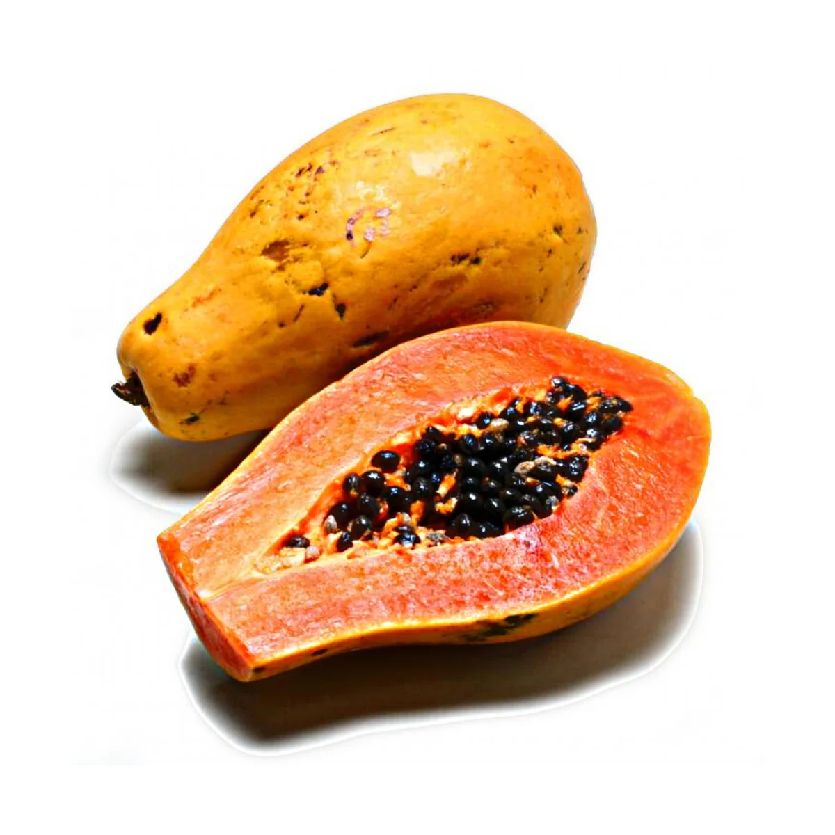 Fresh papaya is the most popular and high quality product