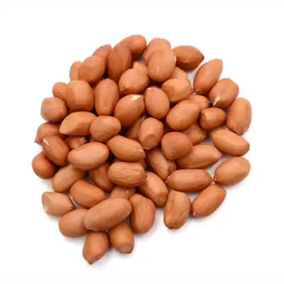 Best Factory Wholesale Jumbo Peanuts Blanched Peanut 100% Natural Kernels Cheap Shelled Raw
