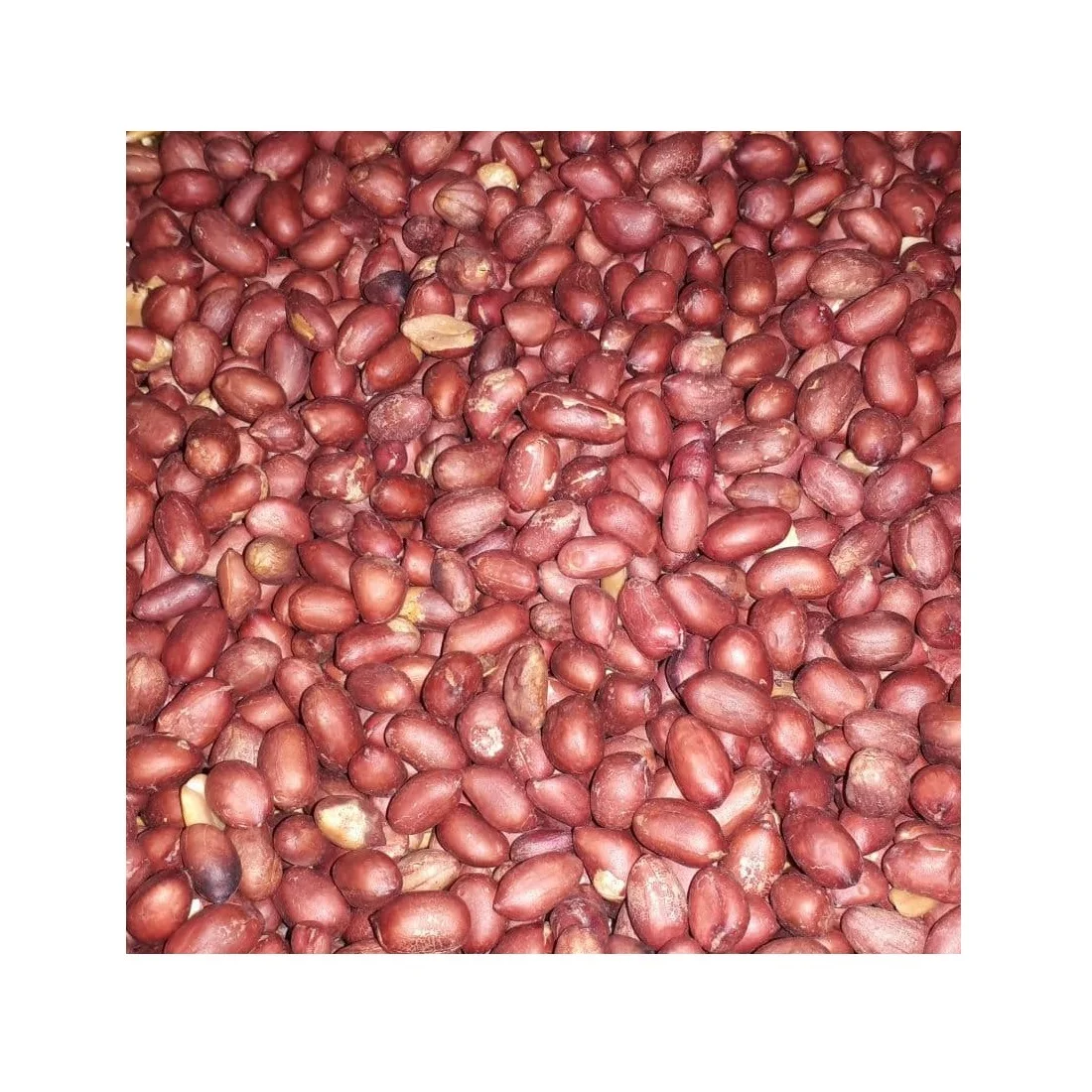 Wholesale Natural Organic First Grade Roasted Peanuts Bulk Pealed Roasted Peanut Laser Sorting Peanuts Nuts & Kernels