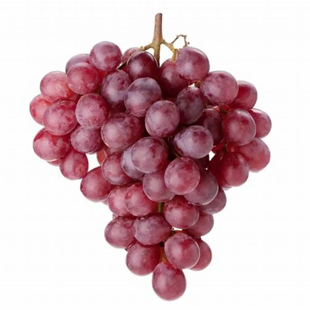 Quality Delicious Premium Quality Grapes Fresh Grapes Indian Exporter sweet grape