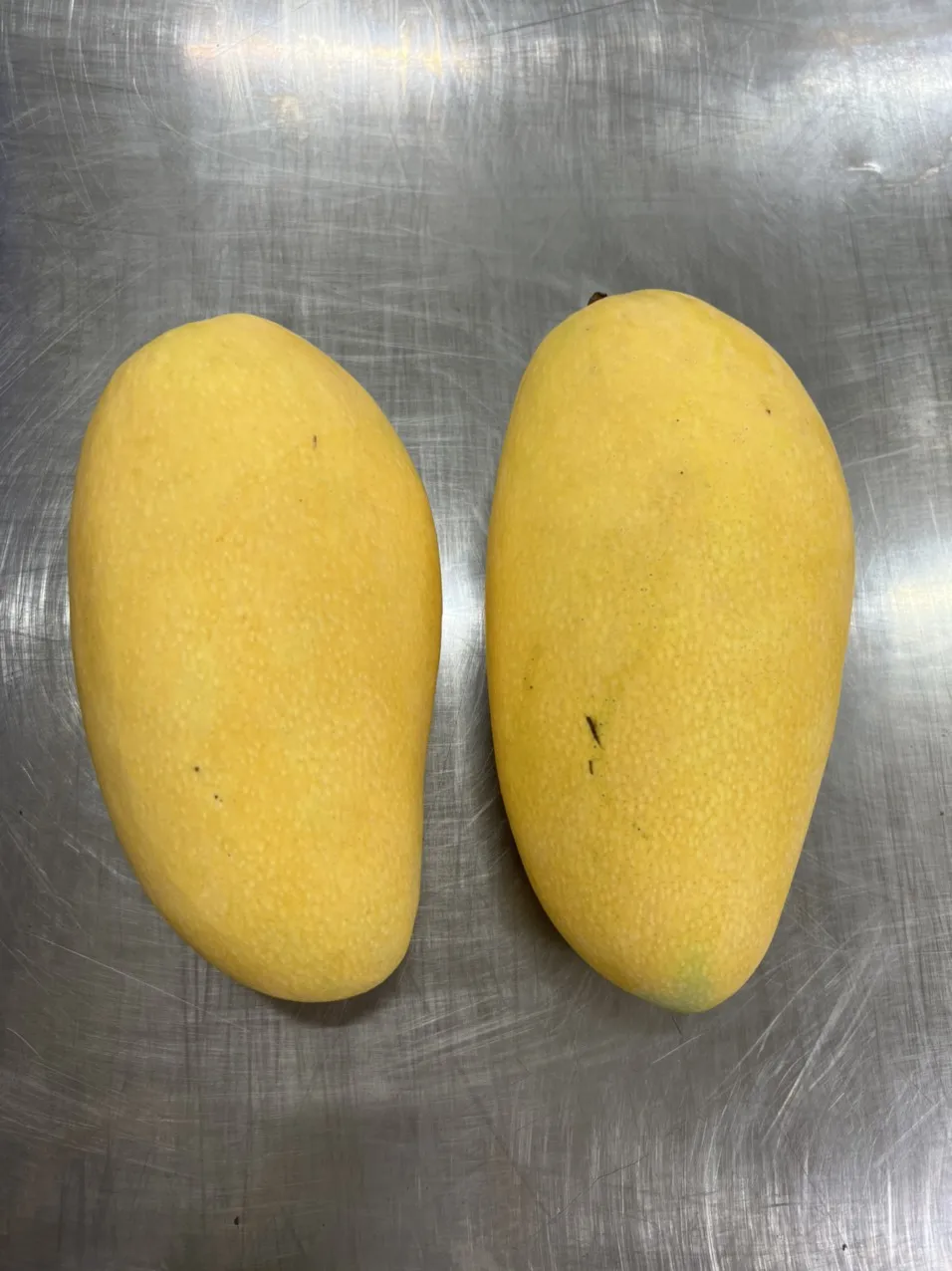 Fresh Cat Chu Mango Vapor Heat Treatment (VHT) Vietnam Green Mango