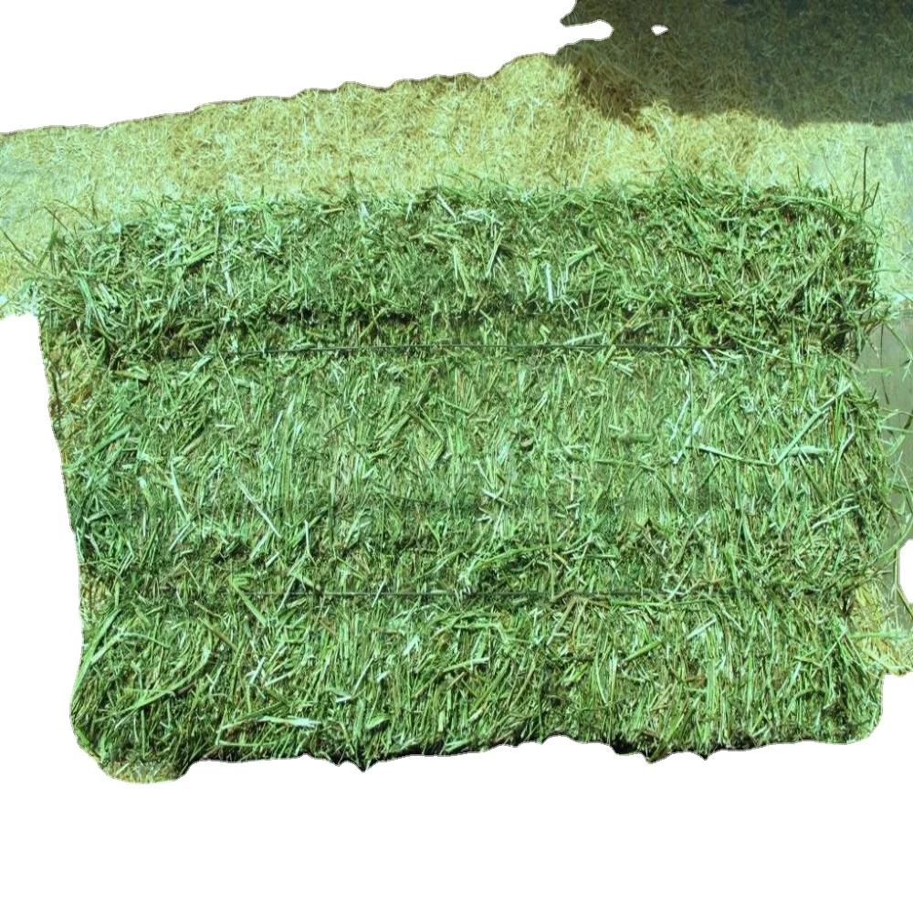 Alfalfa Hay Special Prices ONLY for Gulf Region and Arab Countries Premium Grade AA Alfalfa Hay, Timothy Hay, Animal Feed in USA