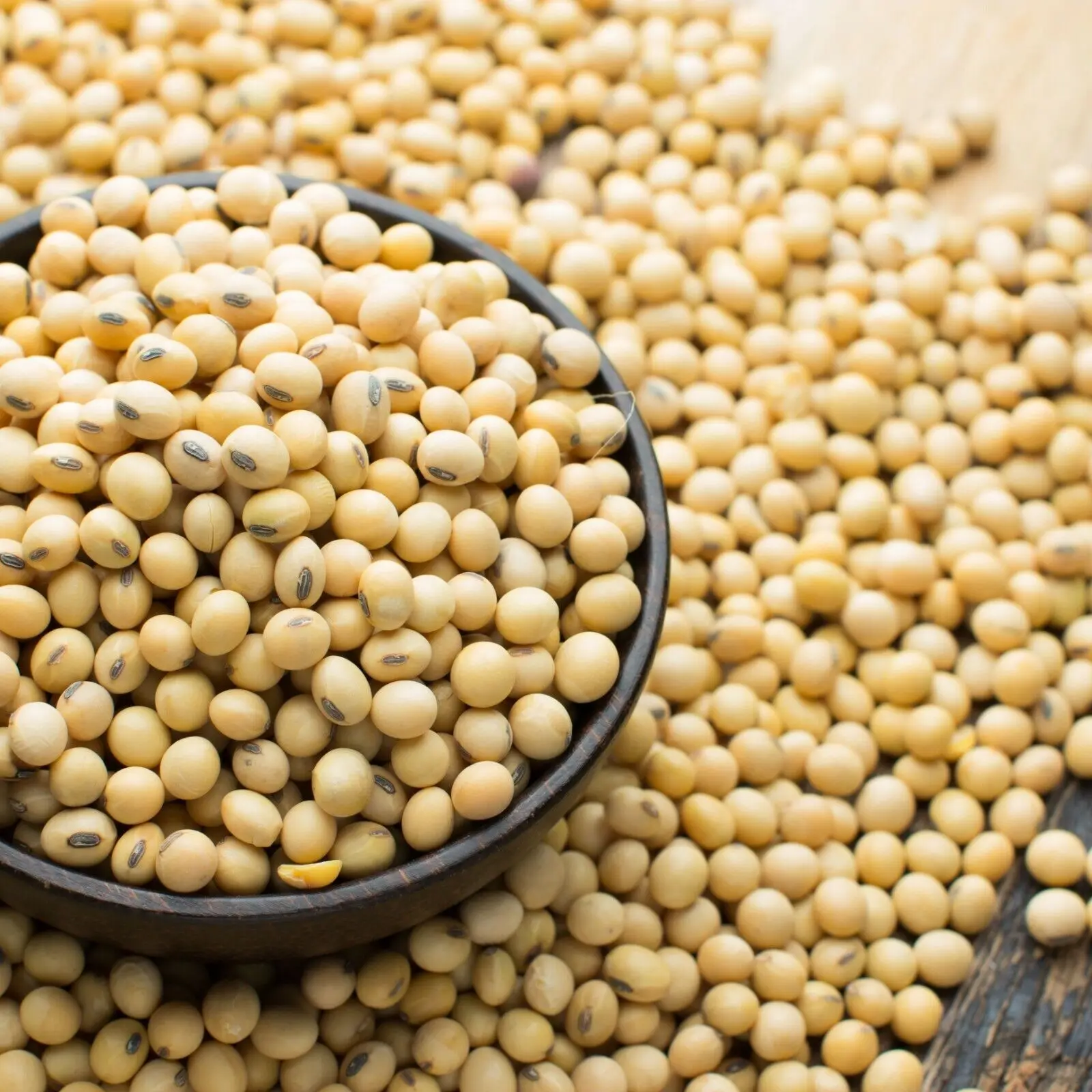 Good Quality Soyabean / Soybeans Seeds / Soybean Ready For Export