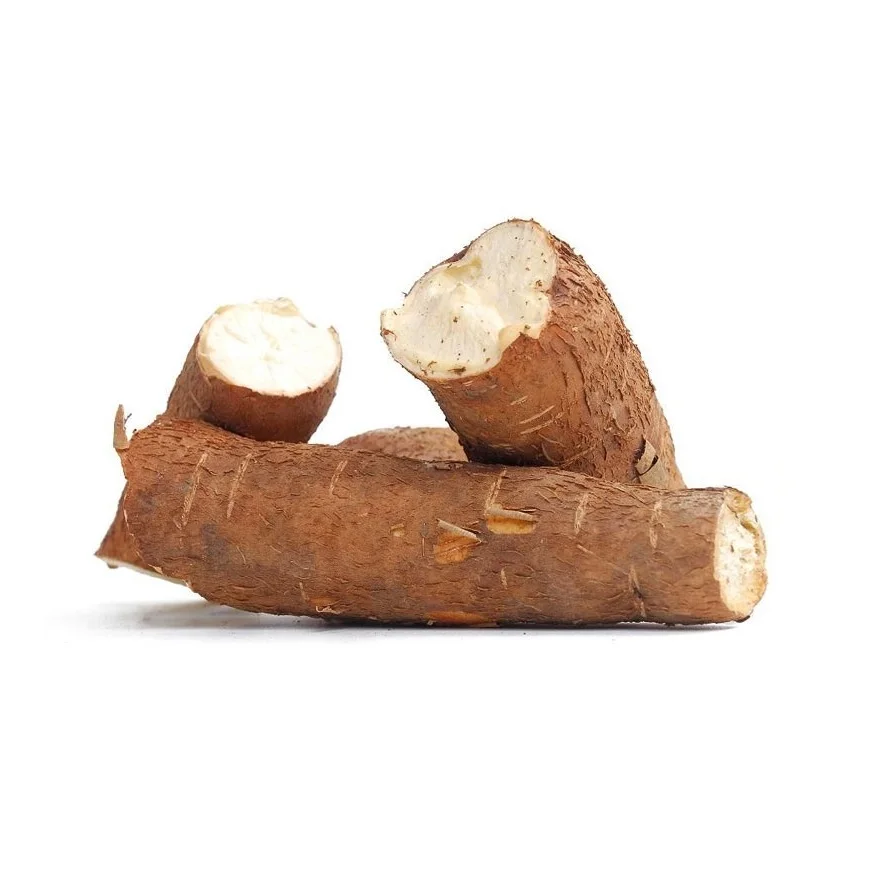Online Buy / Order Top Quality Vegetable Fresh Costa Rica Cassava Roots With Best Quality Best Price Exports From Germany