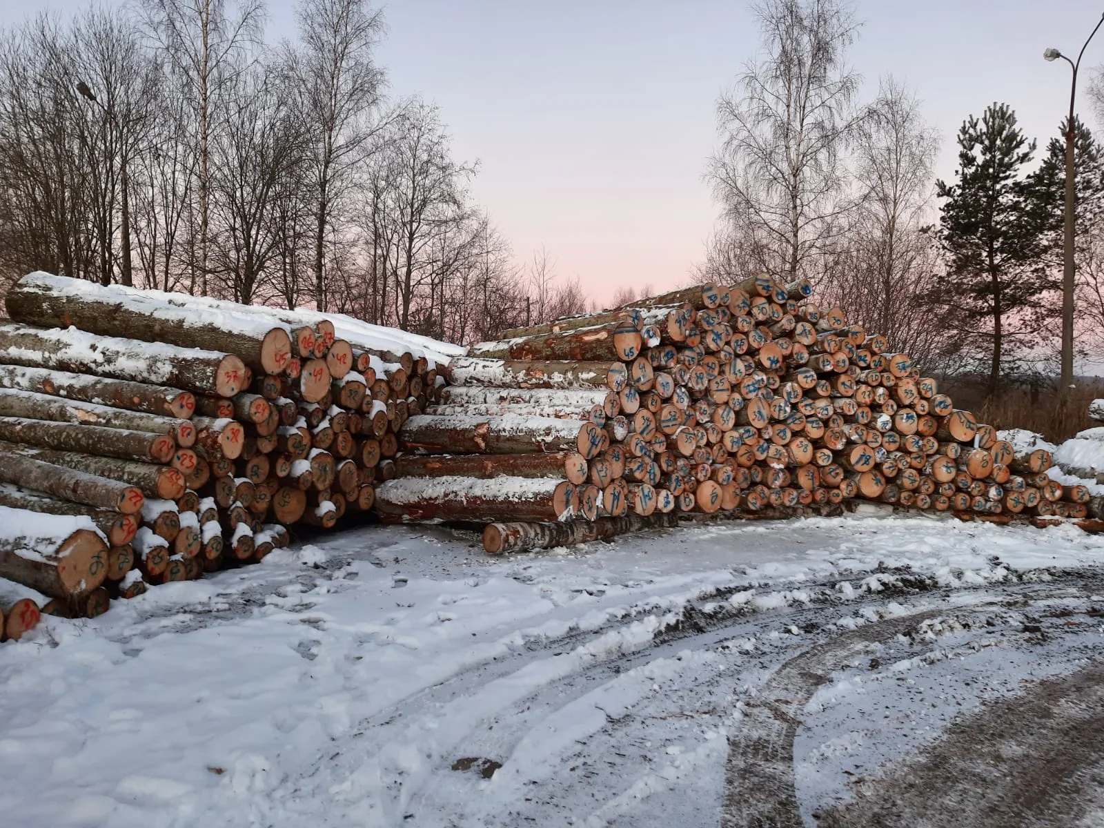 Bulk quantity Timber Best Craftsmanship Redefined High-Quality Spruce Lumber Wholesale Opportunities