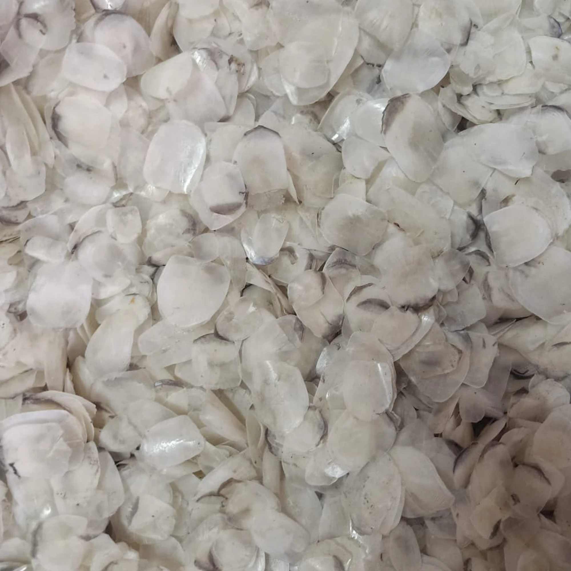 Premium Quality Export Oriented Wholesale Special Seafood Dried Fish Scale Custom Package Tilapia Fish Scales From Bangladesh