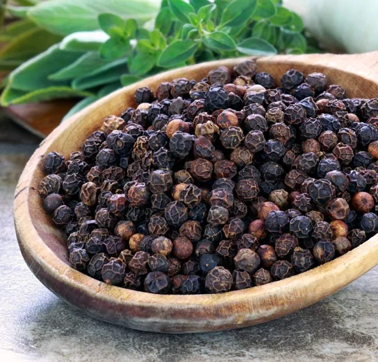 Premium Quality Dried Black Pepper Herb 630gl Big Size Steam Sterilized Fresh Spice Powder UAS Price