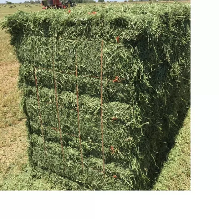 Stuff Alfalfa, hay/alfalfa hay Alfalfa Hay for Animal Feeding /alfalfa hay pellets  in Bales  Animal Feeding Stuff