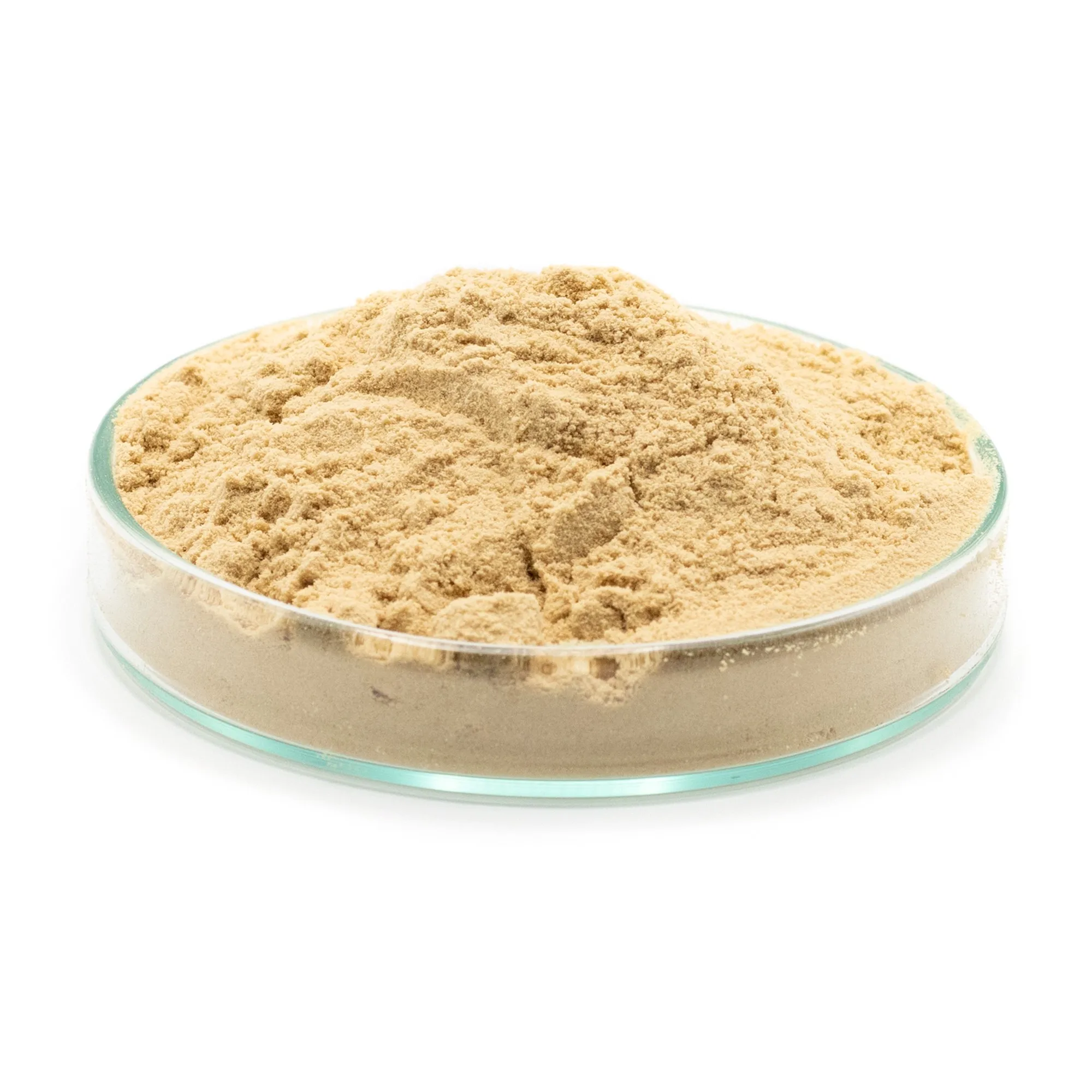 high nutrient protein feed grade yeast