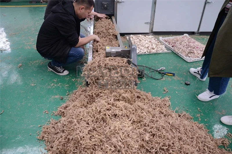  seaweed dehydrator 