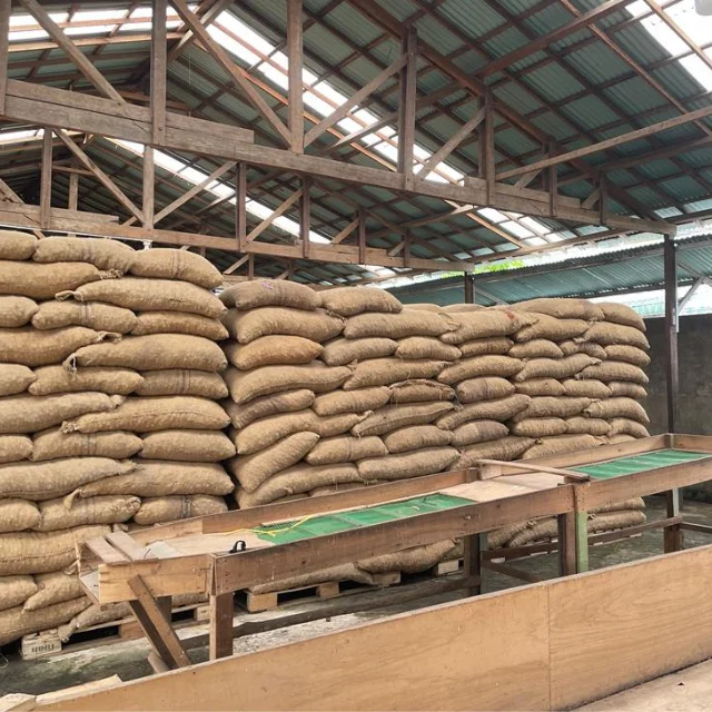 Best Quality Areca Nuts Wholesale Dried Betel Nuts From Indonesia Betel Nuts Packaging Burlap Sack Best Prices For Export