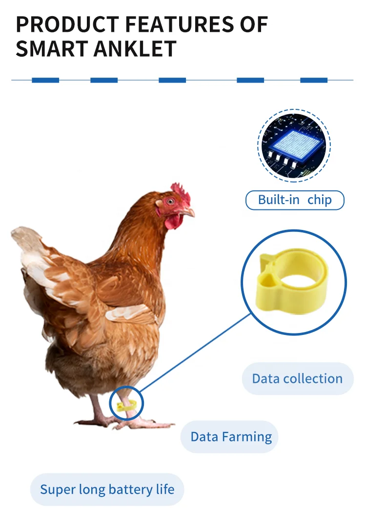 F-006 Animal Bird Parrot Finger Ring Customized Pigeons Leg Ring Supplies Bird Pigeon Foot Rings