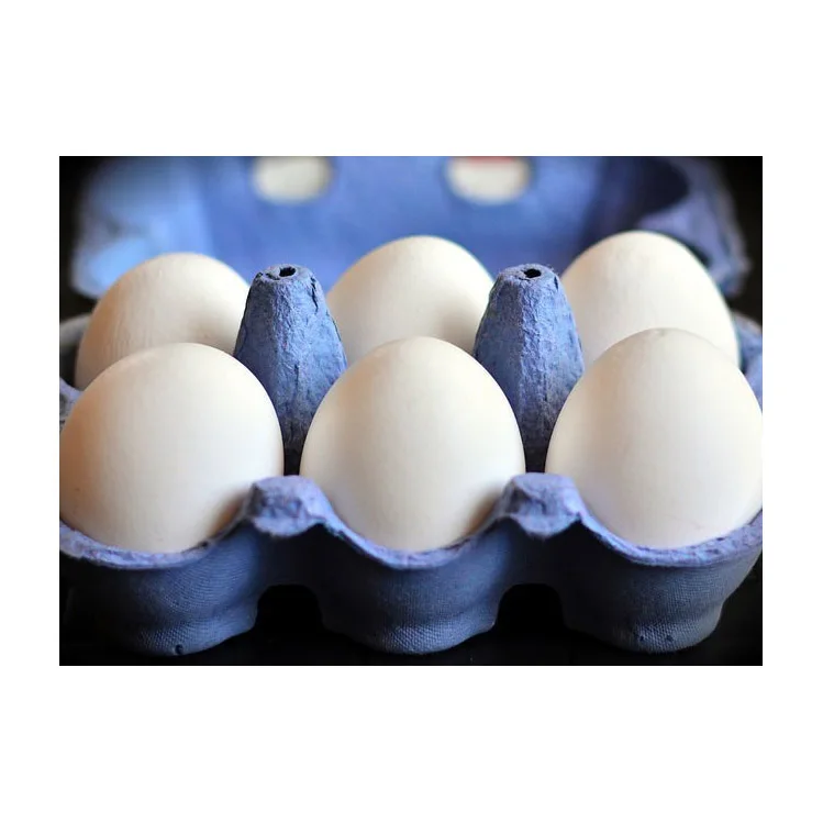 Farm Fresh Chicken Table Eggs White Shell Chicken Eggs in Brazil Style Color Shelf Origin For Sale In Cheap Price