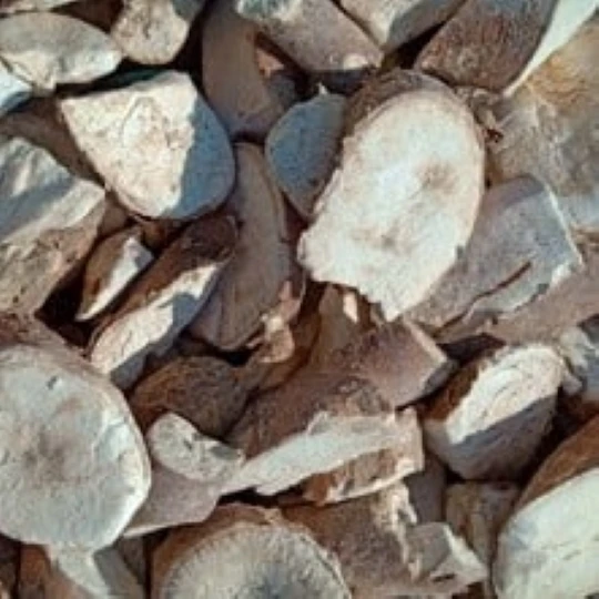 Vietnam Products Tapioca Chips Dried Cassava High Quality Competitive Price HOT DEAL! 2023