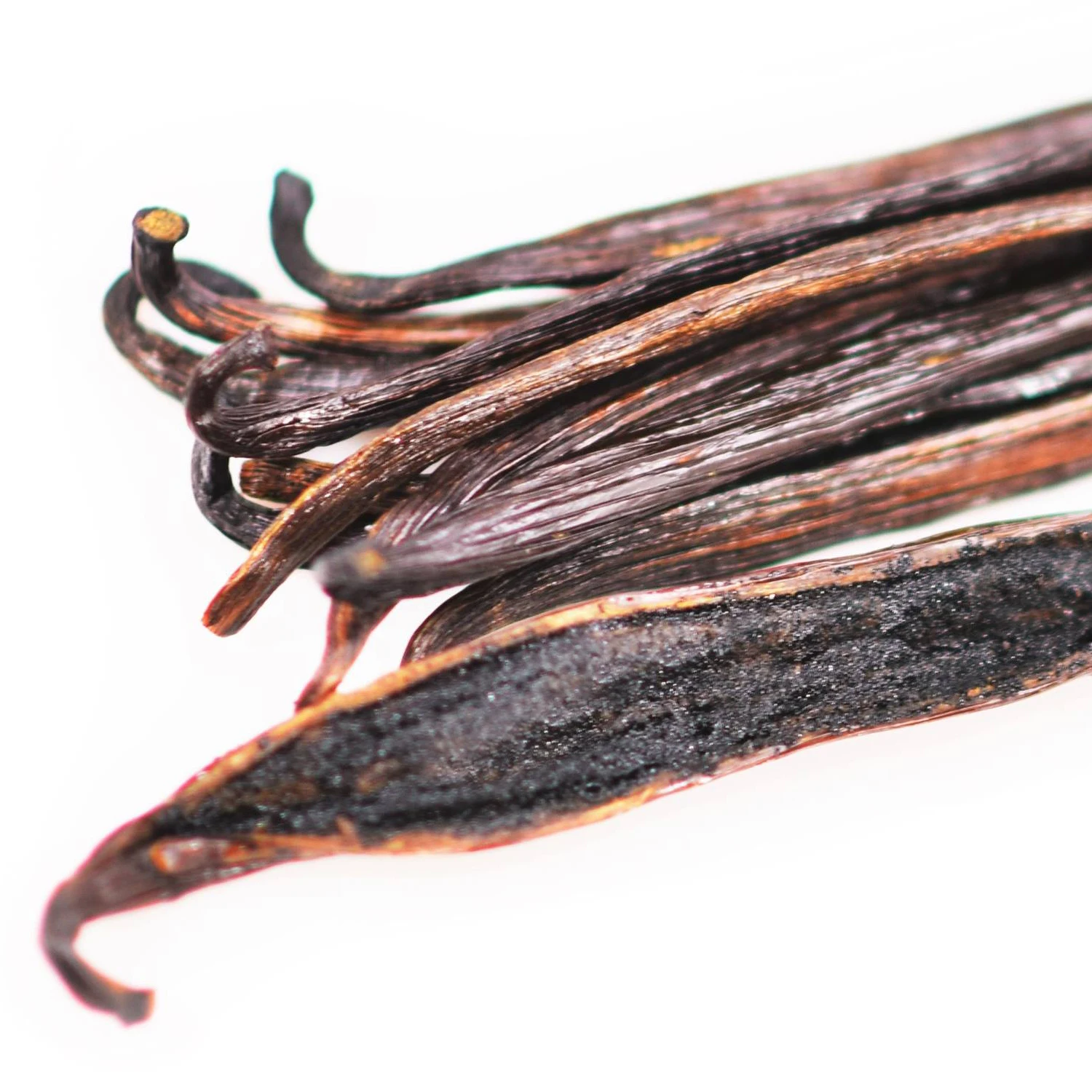 Buy Best Quality Vanilla Beans Available at cheap price