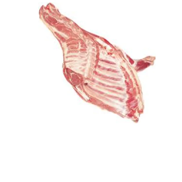 01 (3).png