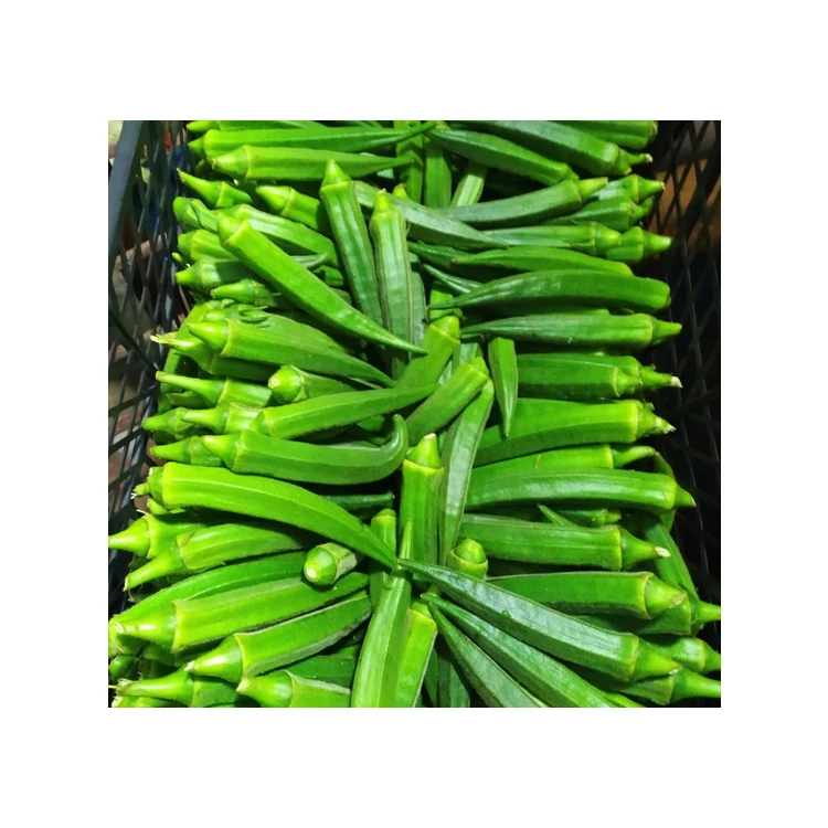 Хорошая цена свежий урожай оптовая продажа натуральный продукт свежие овощи Высококачественная бамия имеющаяся в наличии на складе