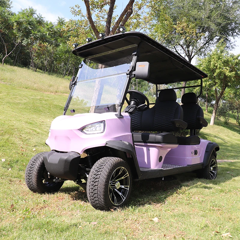 Discount price Electric Shuttle Bus Customized Hotel Airport Electric Car 6 Seater Golf Cart for Sale