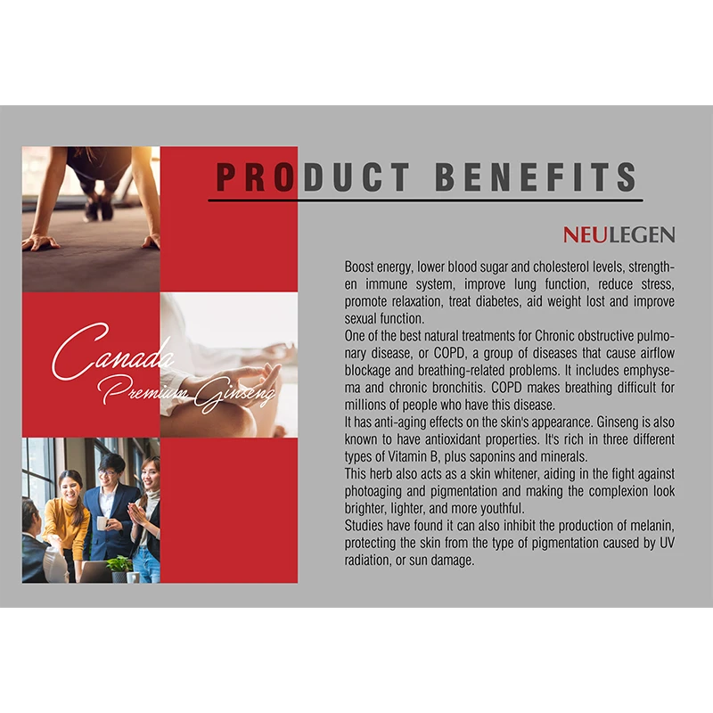 Private Label Premium Ginseng Health Herbal Tea Bag Aids in Auxiliary Hypoglycemic Bulk Sale from Malaysia Supplier