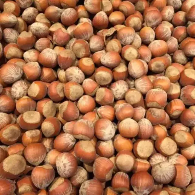 High Quality Hazelnuts From China Best Hazelnut Wholesale Price