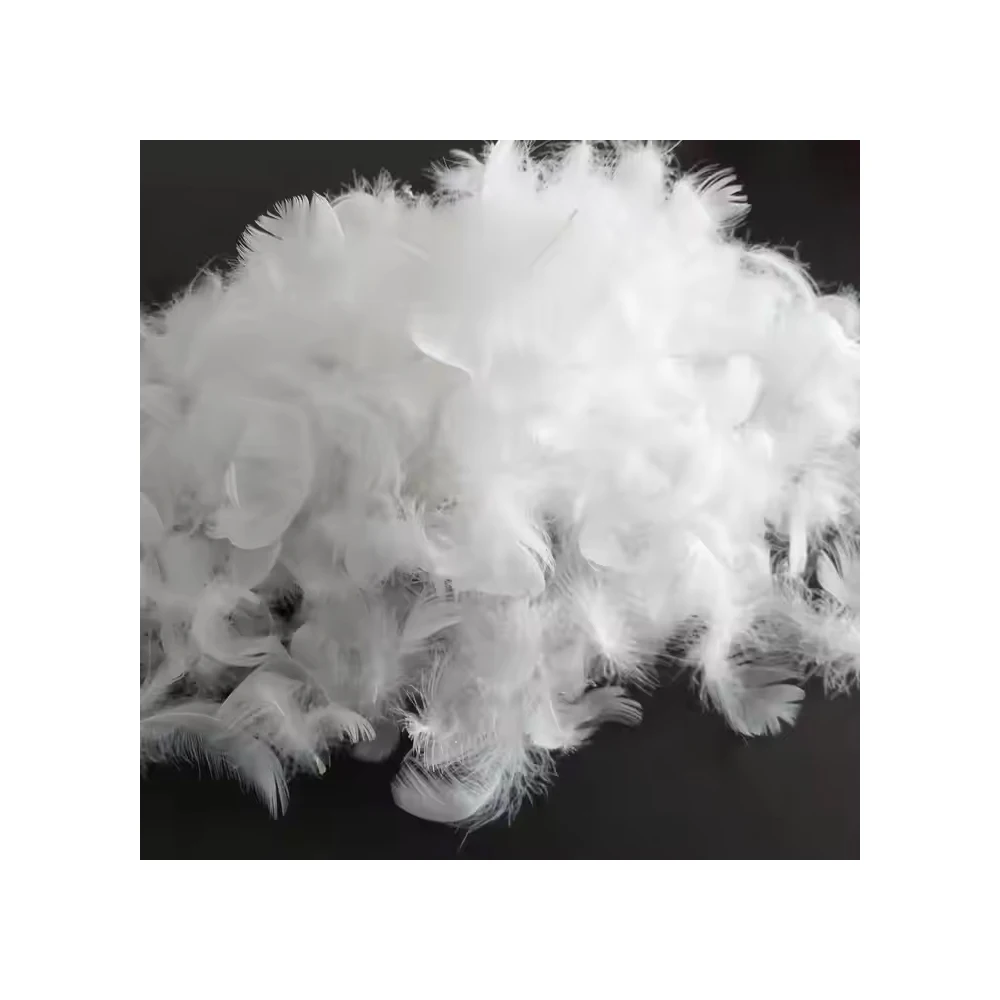 Luxurious Washed Duck Feathers for Pillows Comforters and Crafts Clean Soft and Allergy Free Filling Material