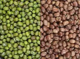 Green Mung Beans