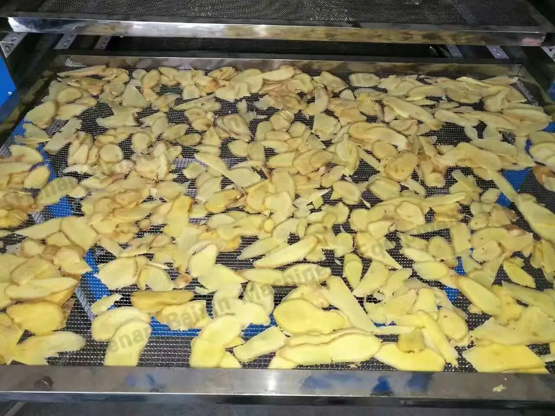 Industrial Food Fruit Dryer Oven Heat Pump Dehydrated Onion Drying Machine Garlic Drying Equipment