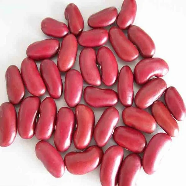 Wholesale Organic Dried 180-190pcs per 100g Long Shape Large Red Kidney Beans