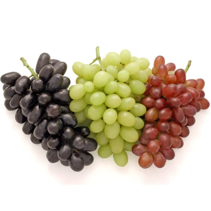 High Quality Best Price Fresh Sweet Seedless Seeded Black Green Red Grapes for Sale from AUSTRIA