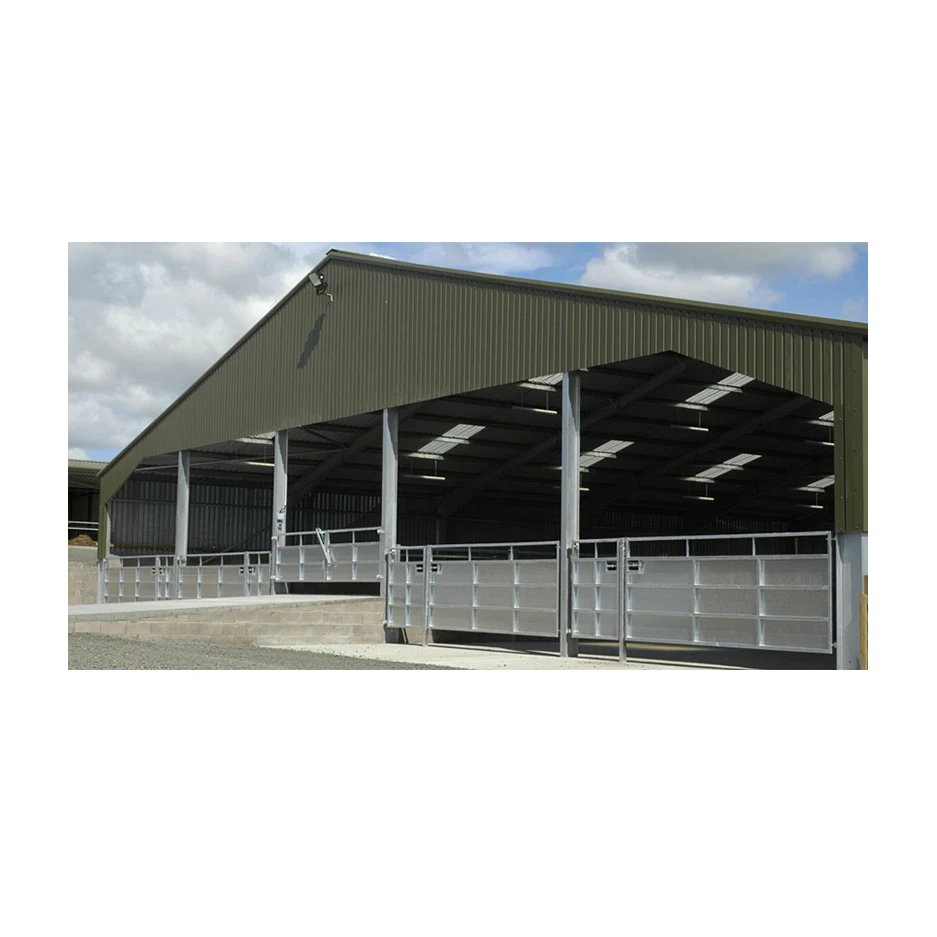 Prefabricated steel structure pig shed cow house I beam steel frame easy build sail cow housing for sale