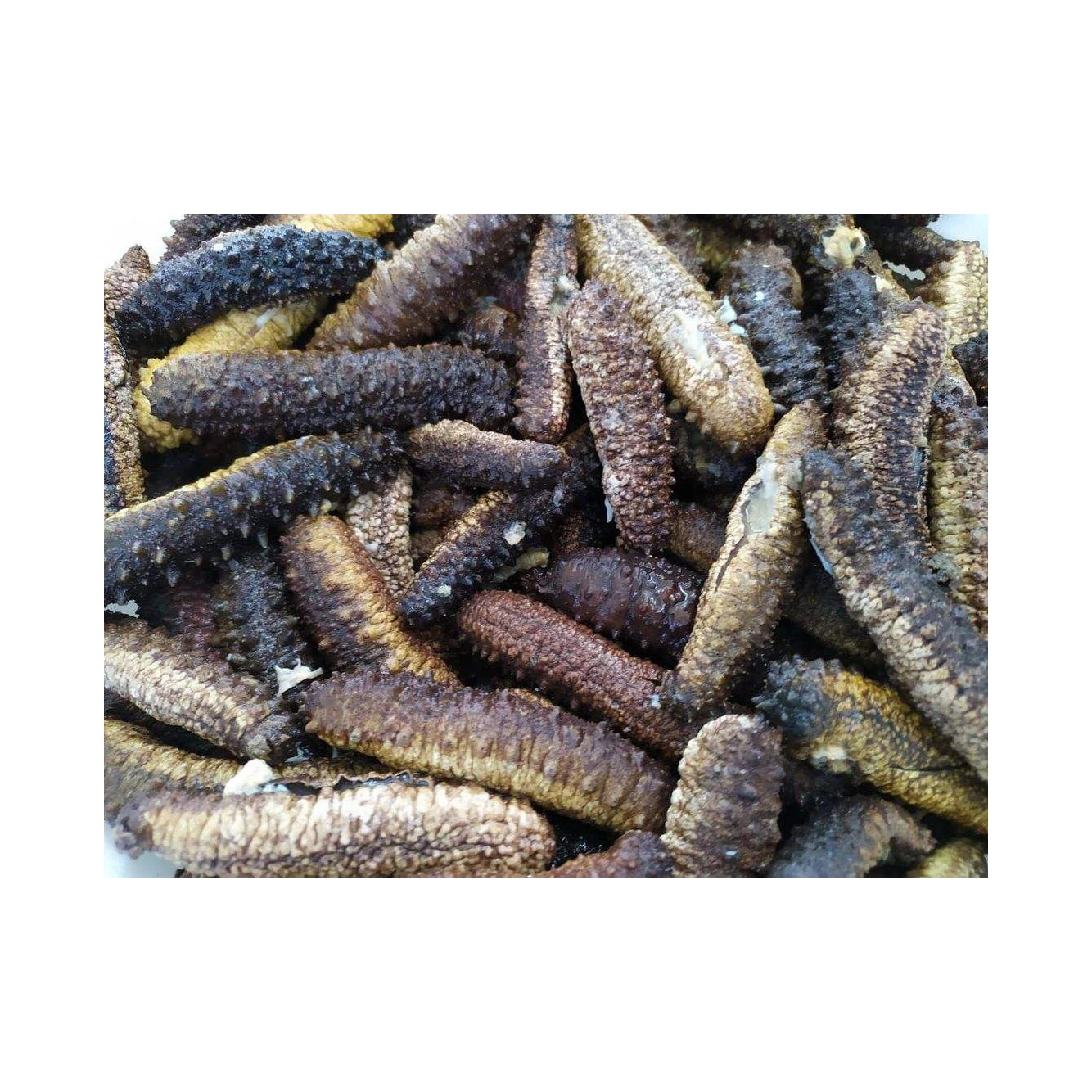High Nutritional Value Dried SEA CUCUMBERS with Export Standard