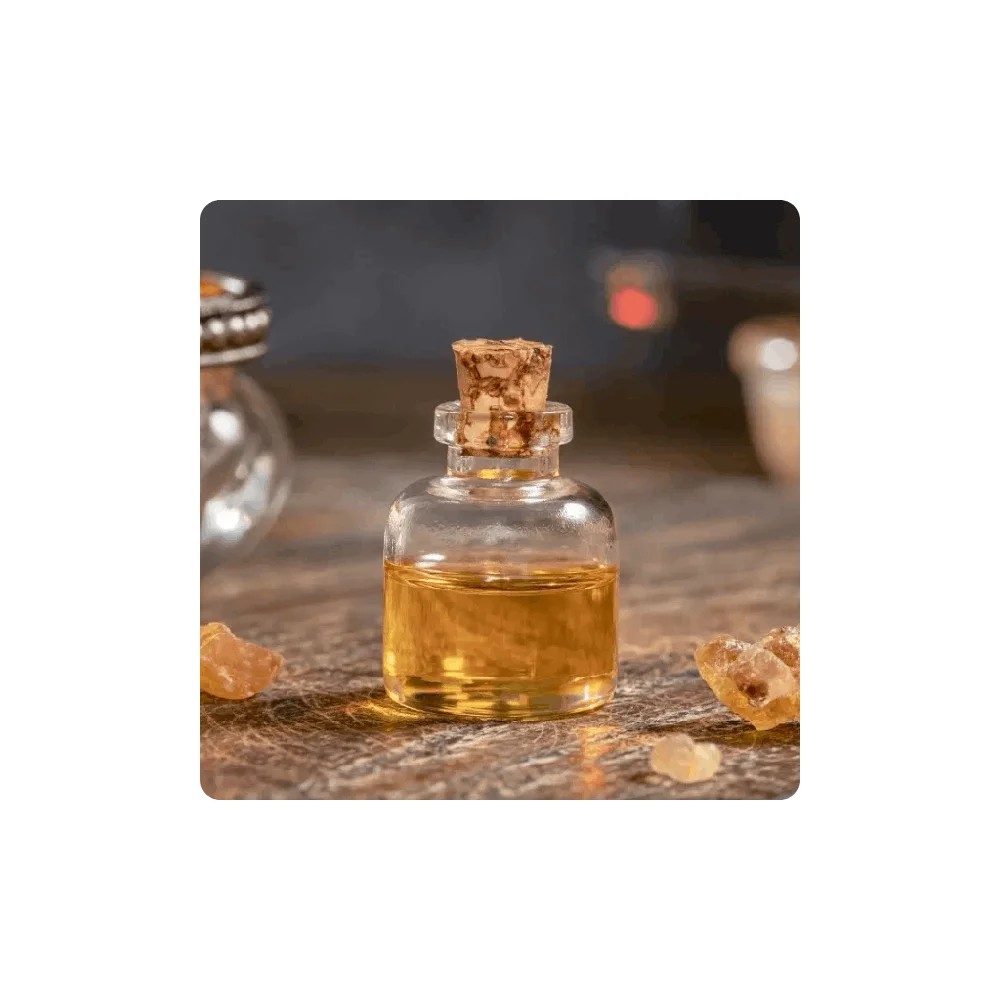 Buy Frankincense Essential Oil Wholesale Price Frankincense Oil Reliable Manufacturer  From India