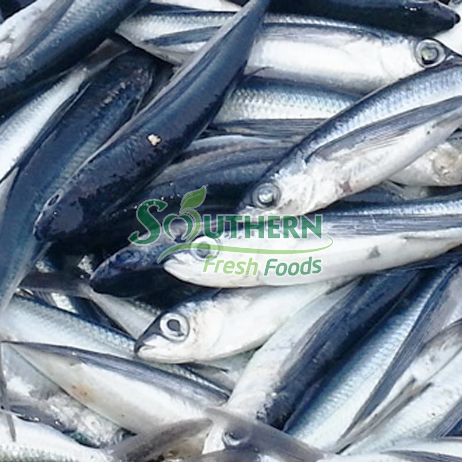 Wild Caught SFF Usage style IQF package custom support price reasonable sea food Frozen Flying Fish WR Sea Fish from Vietnam