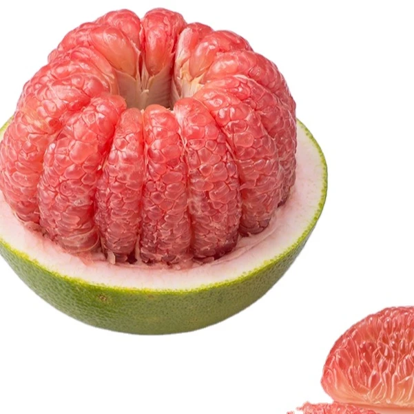 Лидер продаж pomelo из Вьетнама Экспортная продукция лучшее качество Sophie