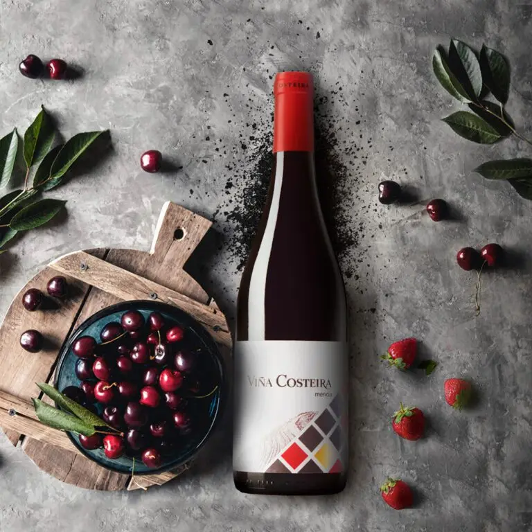 High Quality Red Wine from Spain | Brand Vina Costeira Mencia 2021 | DO Valdeorras | 750ml glass bottle