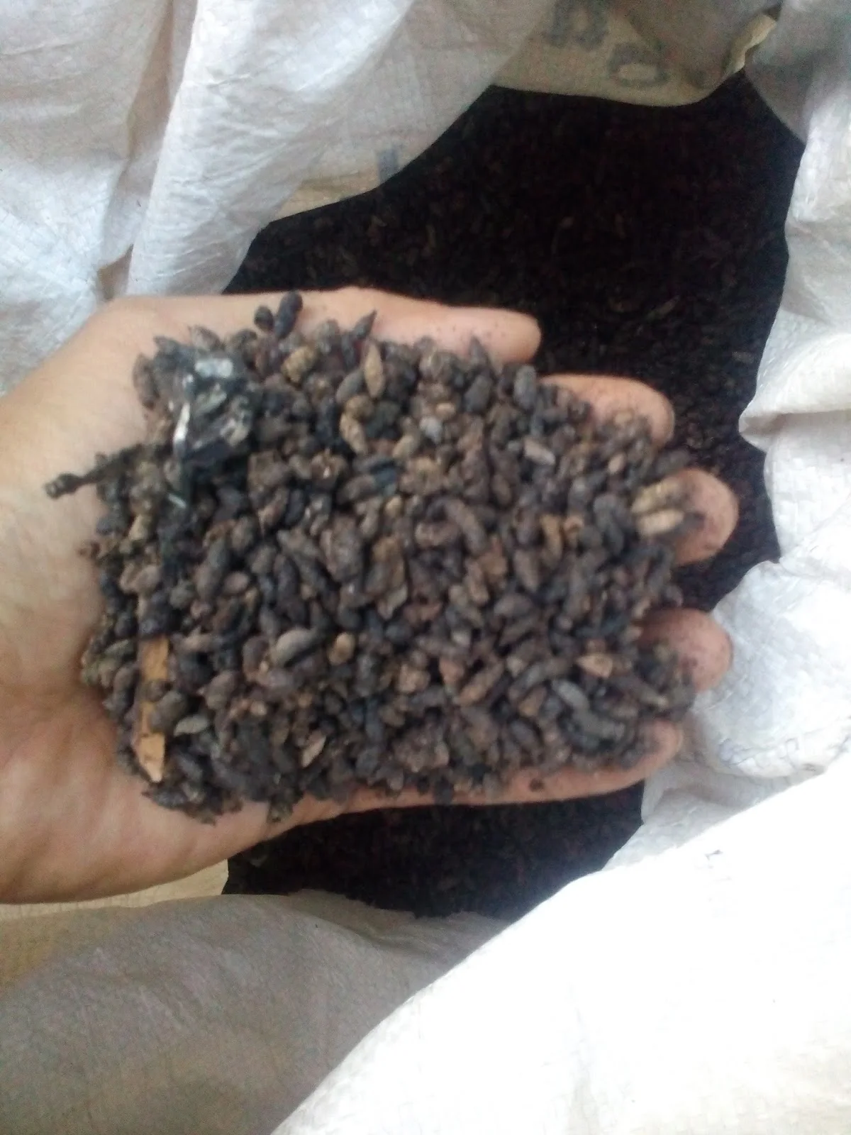 Оптовая продажа по заводской цене какашка летучей мыши высококачественное сельскохозяйственное животное хит продаж Вьетнам