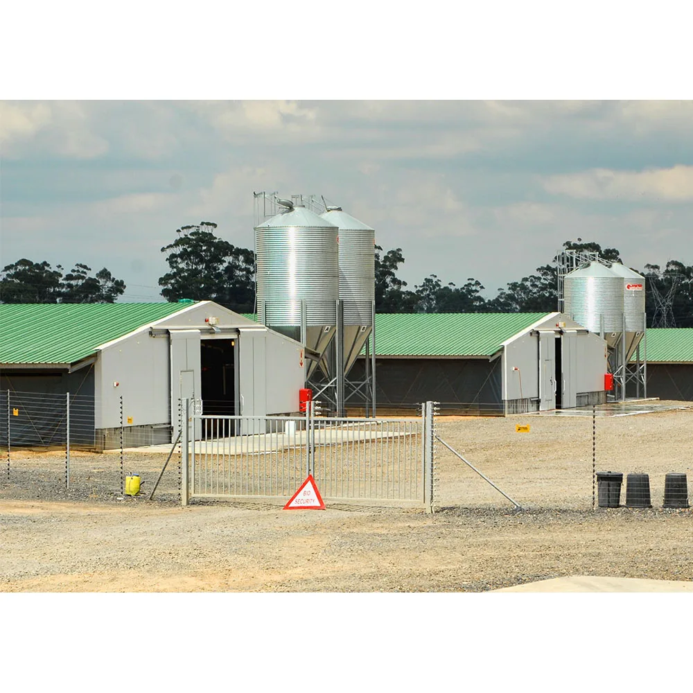 cheap layers cage 1000 chickens poultry farm house broiler chicken house poultry farm design