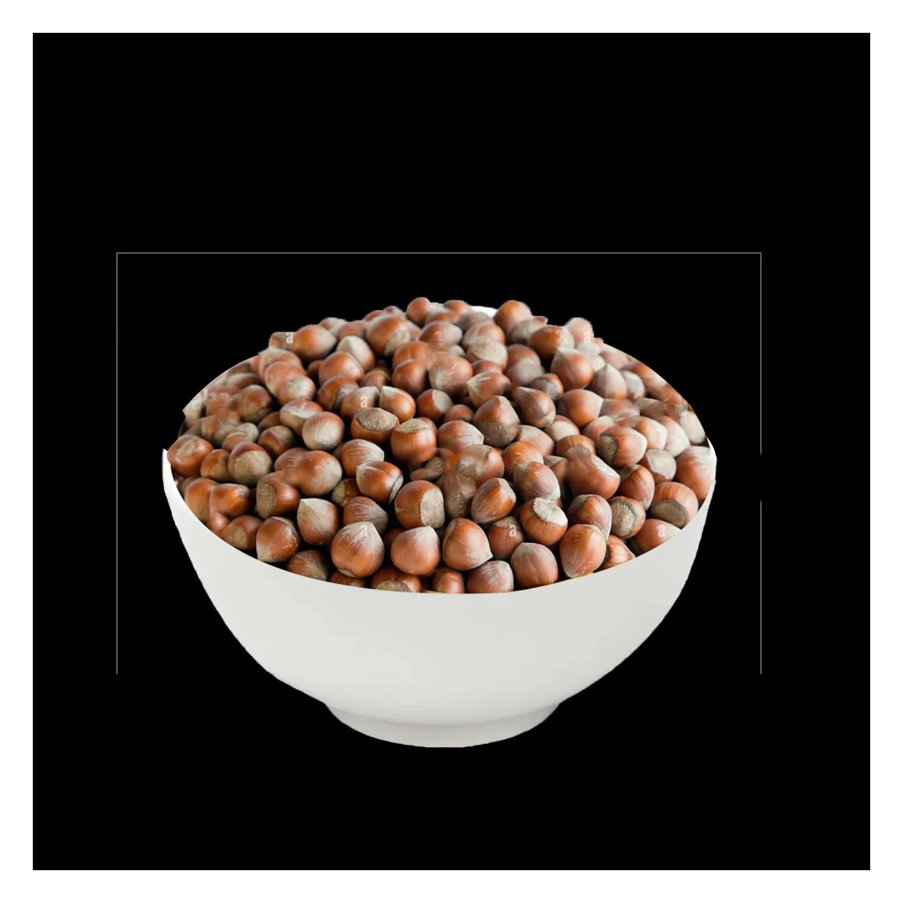 Organic Hazelnuts/Hazel Nuts Hotly-Sold Raw Roasted Blanched Hazelnuts for Food Use Organic Cultivation at Competitive Prices