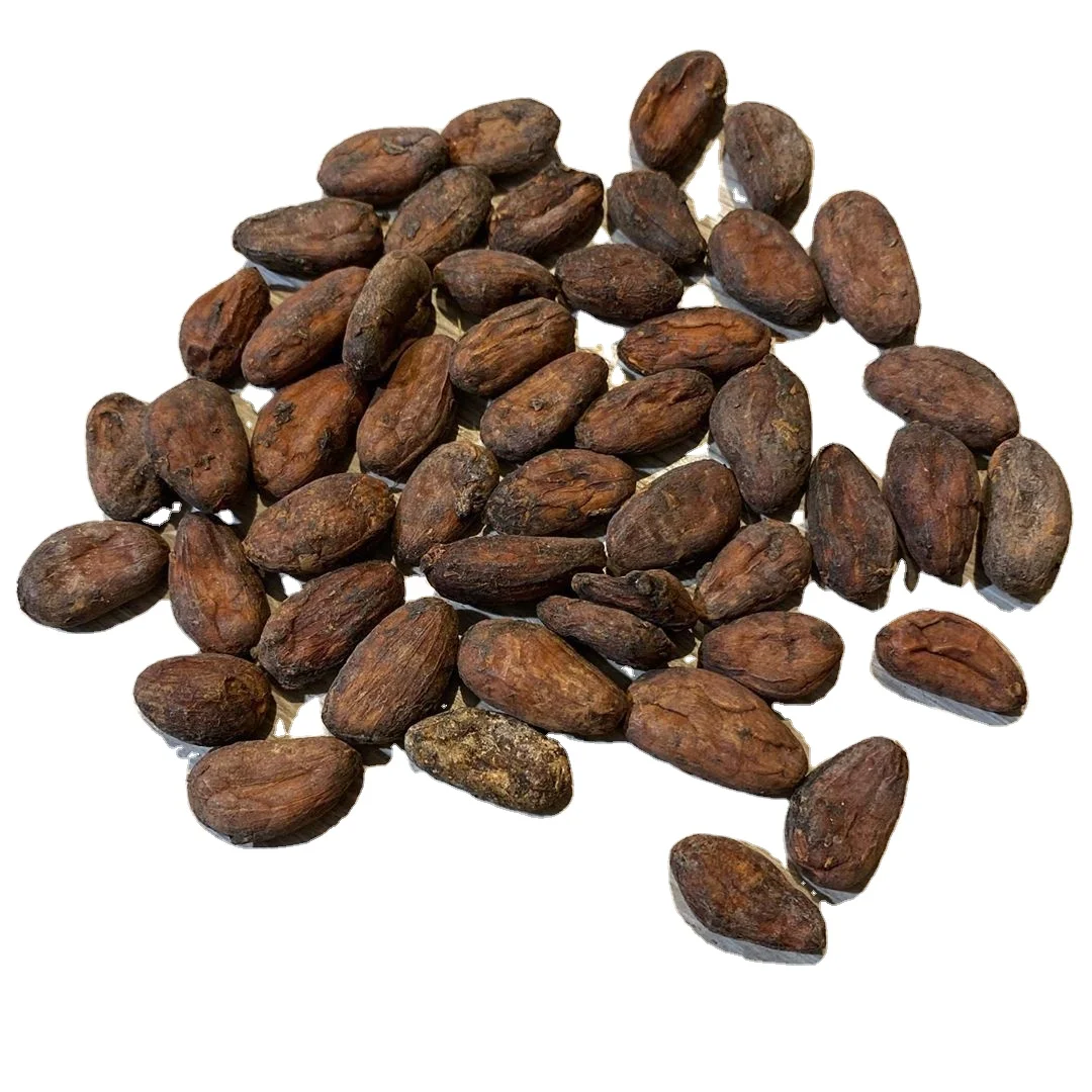 High grade Cocoa Beans - Cacao Beans - Chocolate beans available for wholesale