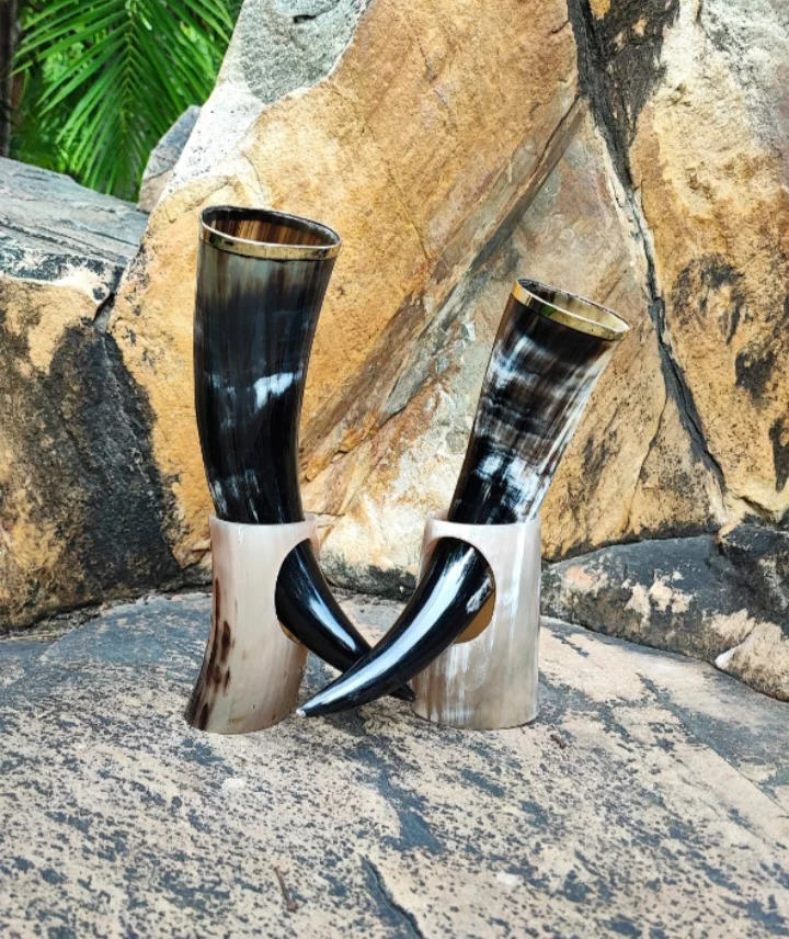 Custom Drinking Horn with Stand Beer Mug Game of Thrones Medieval Beer Tankard, Horn Cup Best Groomsmen Wedding Gift