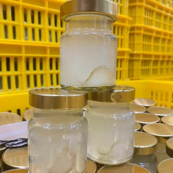 Nutritional Royal Premium Instant Bird Nest Drink Bottle Rock Sugar Concentrated Natural Swallow Nest 70ml