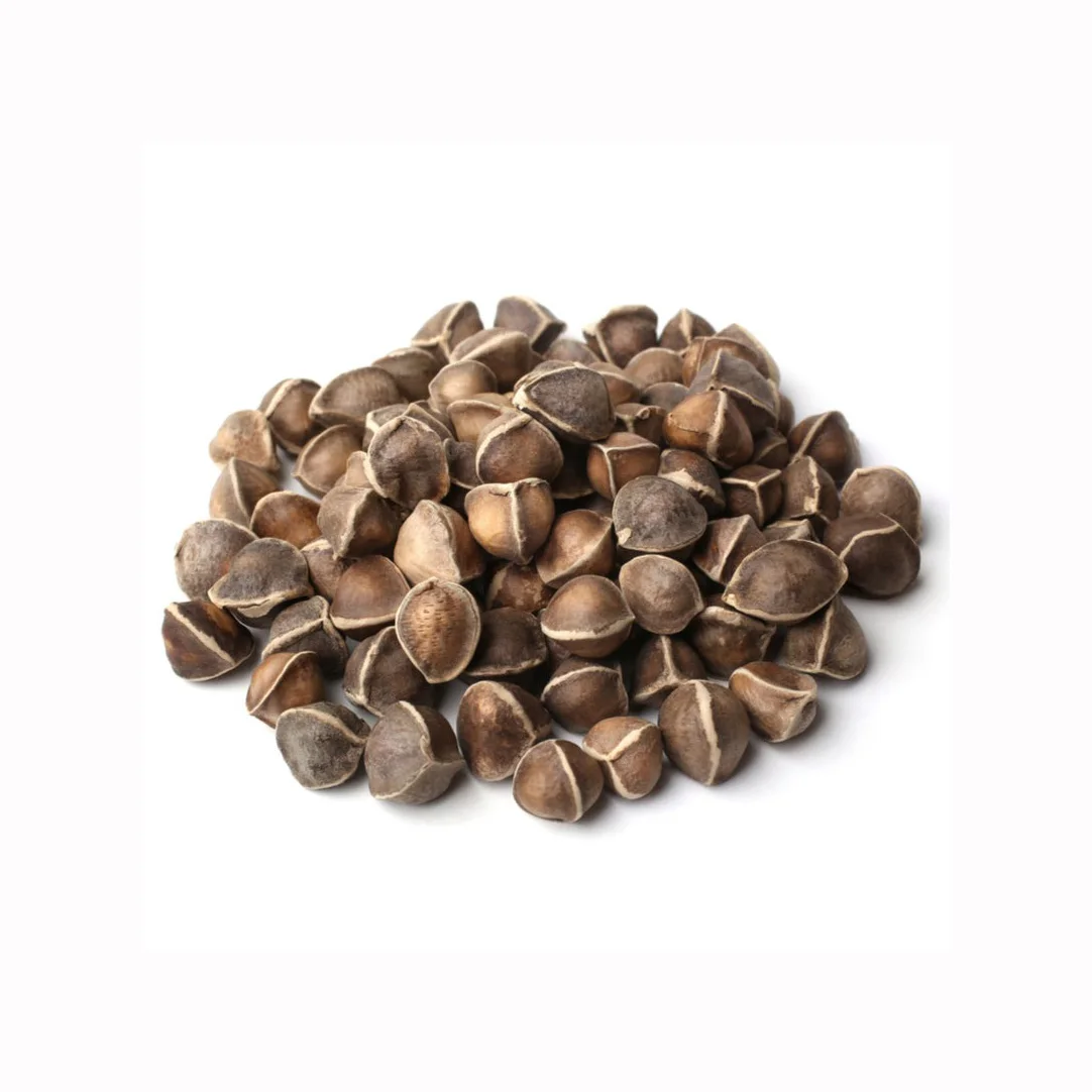 Good Quality Moringa Seeds and moringa Seeds