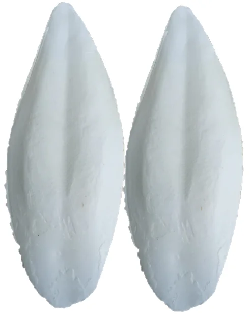 Cuttlefish bone for birds blister pack 6 inch single white color dried by sunshine clean metal clips Calcium Suplements