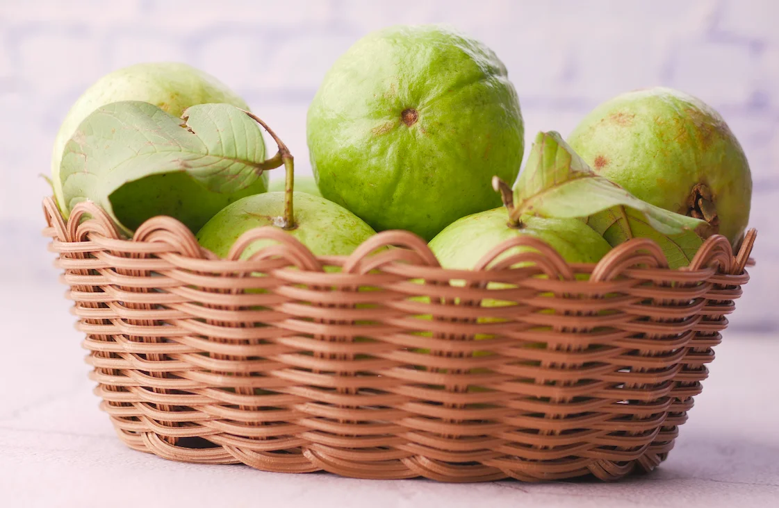 Fresh High Quality Guava Wholesale from Malaysia