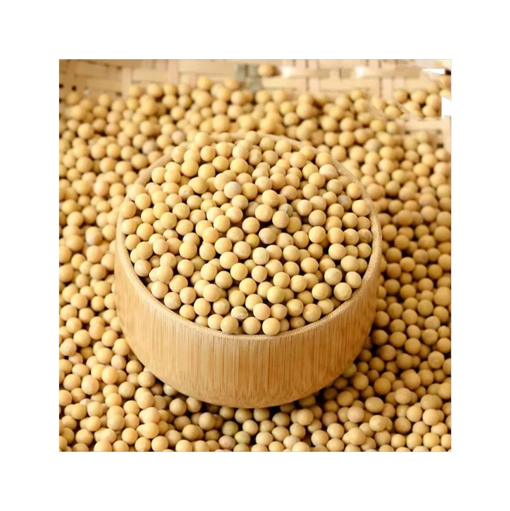 High Quality Based in USA GMO Wholesale Fresh SOYBEAN High Quality Ready to Ship