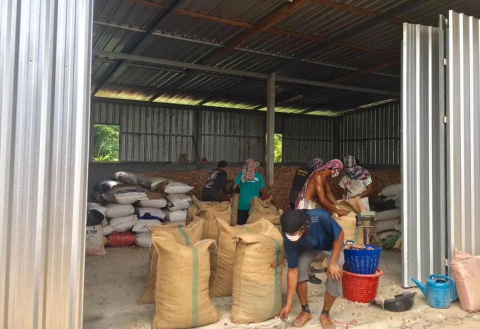 Высушенные орехи betel supari индонезийские экспорт из Афганистана