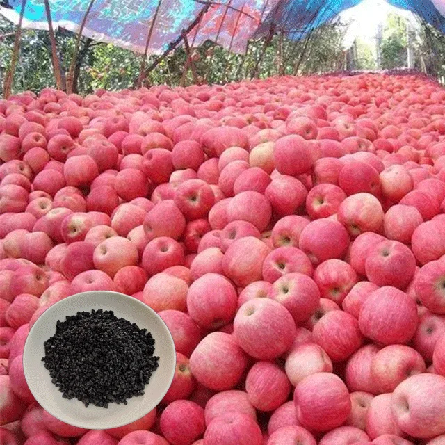 hot sale 100% water soluble organic fertilizer potassium humate granule