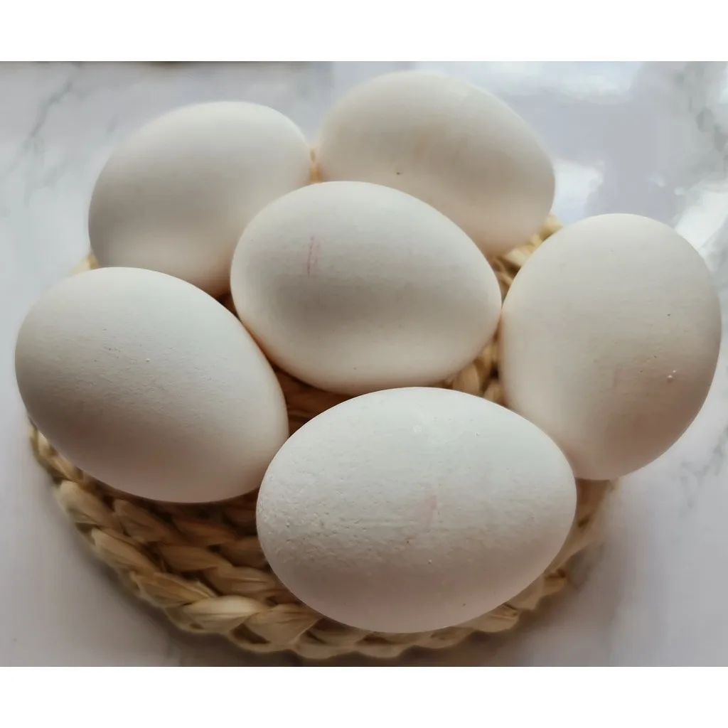 100% натуральный продукт фермы свежие куриные столовые яйца коричневый и белый