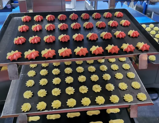 2024 TG Newly Designed Multi-Function Cranberry Cookie Forming Technology induction biscuit making machine bakery